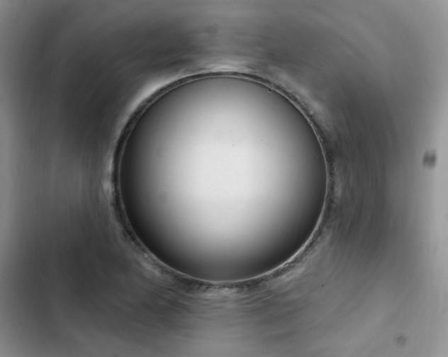 X0000103231174200808281424
