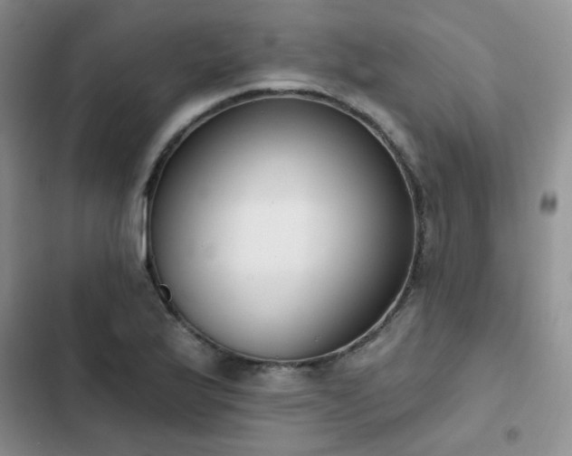 X0000103231175200808281424