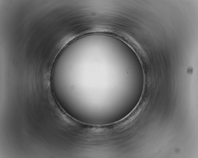 X0000103231177200808281424