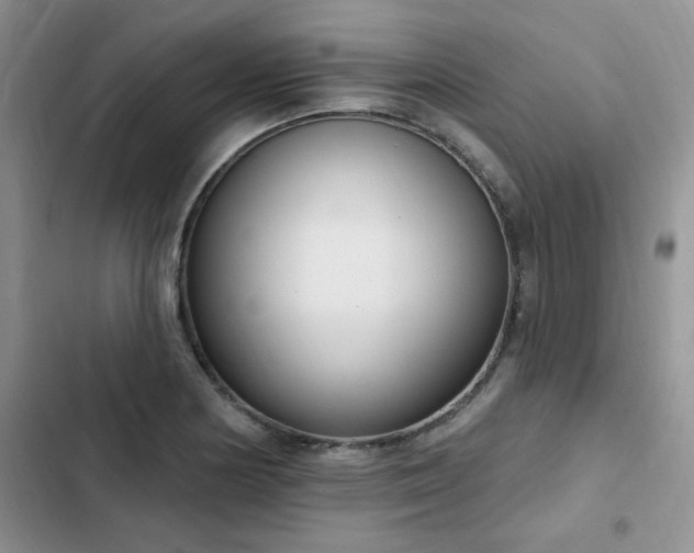 X0000103231178200808281424