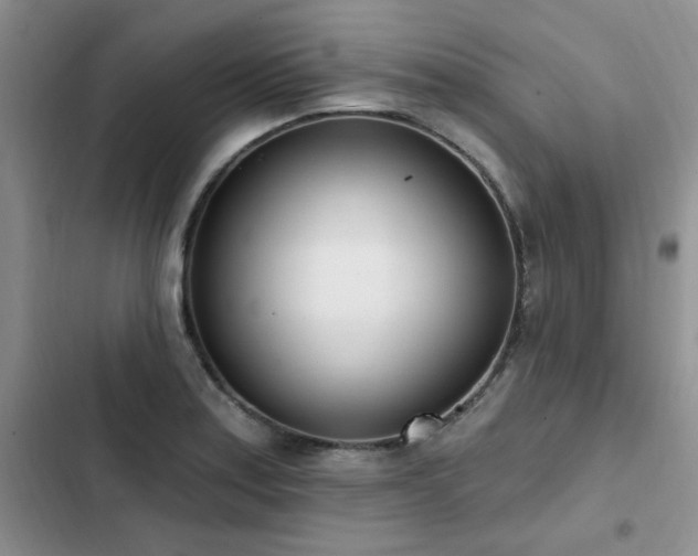 X0000103231179200808281424