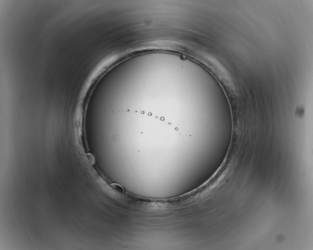 X0000103231180200808281424