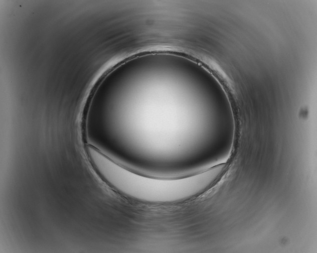X0000103231181200808281424