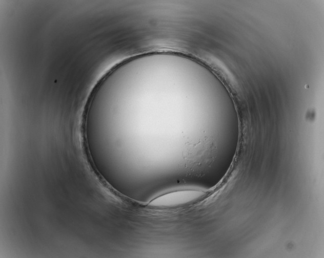 X0000103231182200808281424