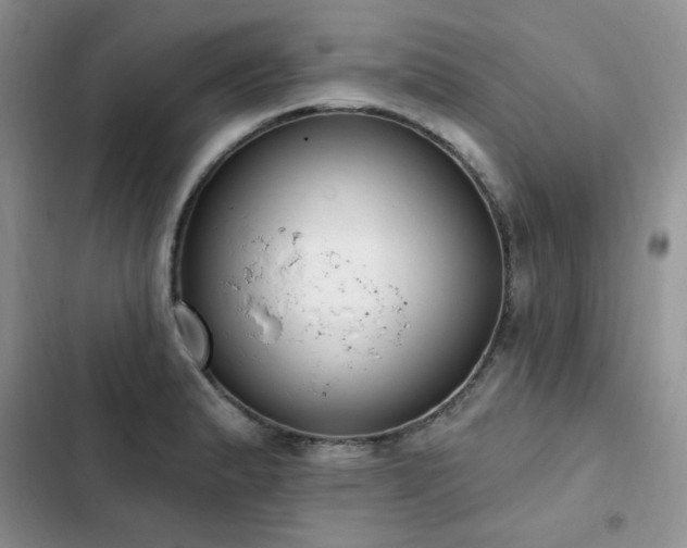 X0000103231183200808281424