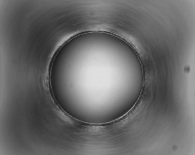 X0000103231184200808281424