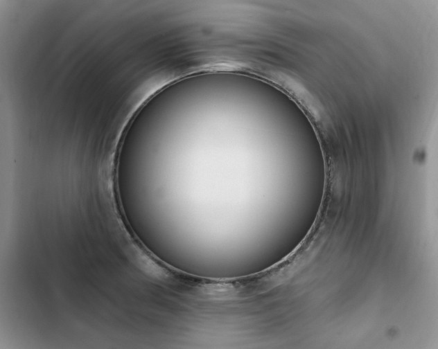 X0000103231186200808281423