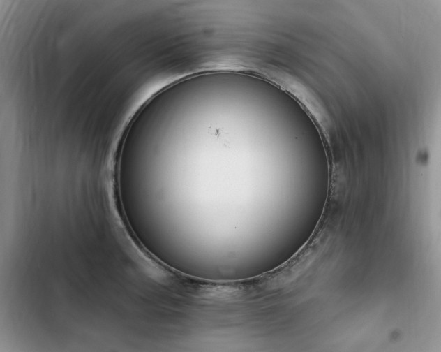 X0000103231187200808281423