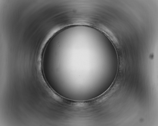X0000103231188200808281423