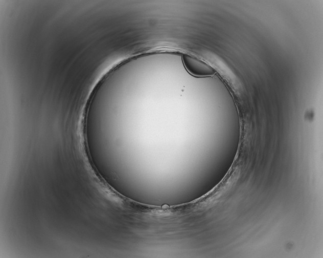 X0000103231190200808281423