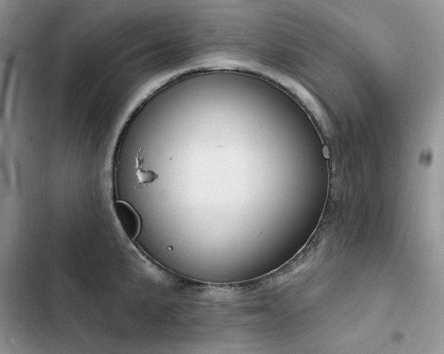 X0000103231191200808281423