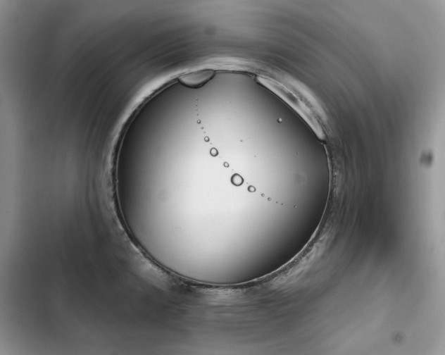 X0000103231192200808281423