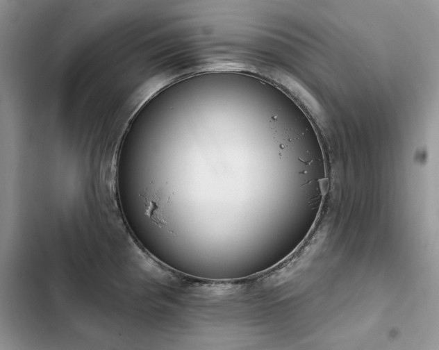 X0000103231193200808281423