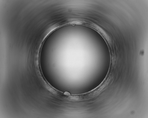 X0000103231194200808281423