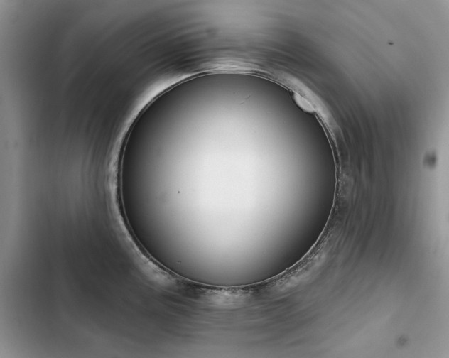 X0000103231195200808281423