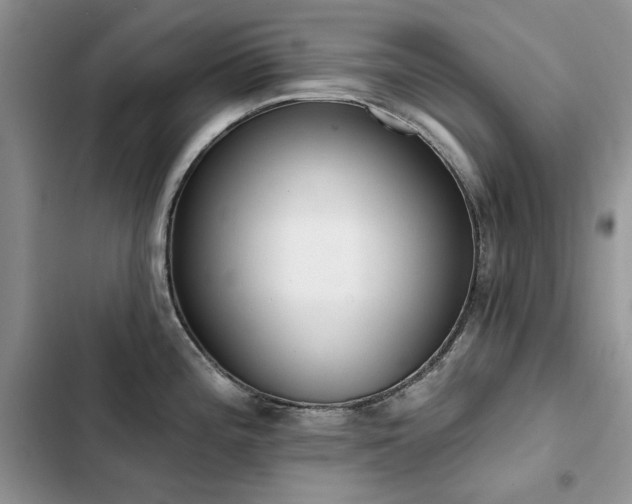 X0000103231196200808281423