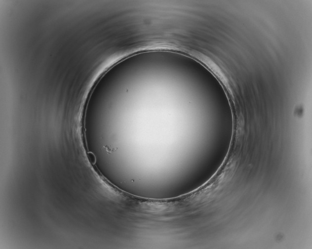 X0000103231197200808281423