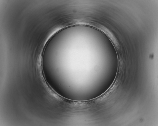 X0000103231198200808281423