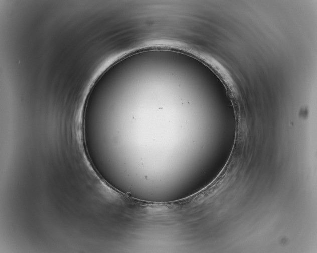 X0000103231199200808281423