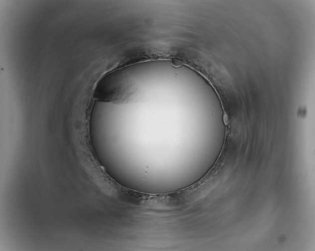 X0000103231201200808281423