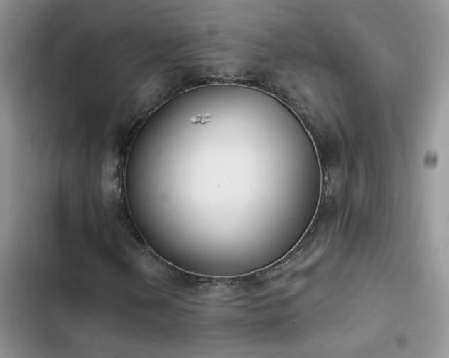 X0000103231202200808281423