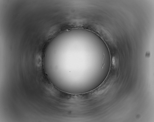 X0000103231203200808281423