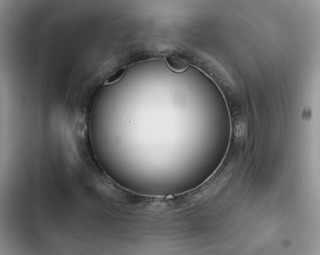 X0000103231204200808281423
