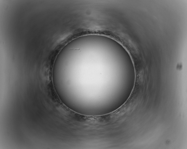 X0000103231205200808281423