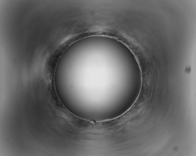 X0000103231206200808281423