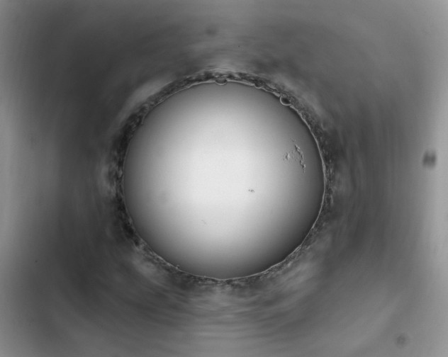 X0000103231207200808281423
