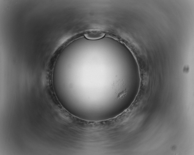 X0000103231208200808281423