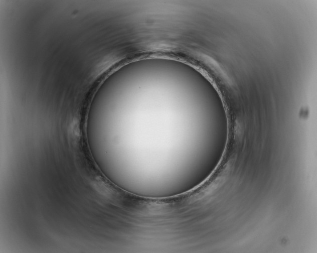 X0000103231209200808281423