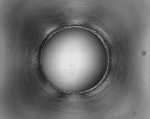 X0000103231210200808281423