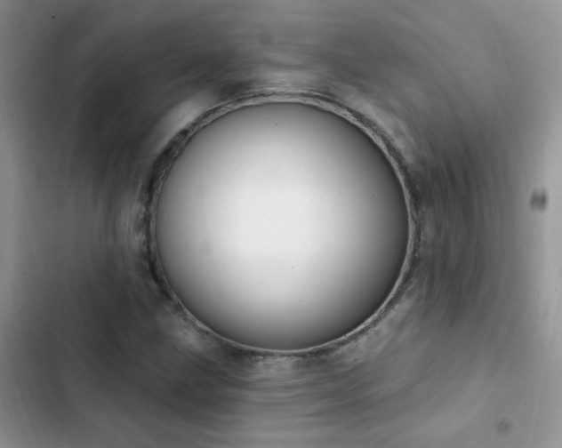 X0000103231211200808281423