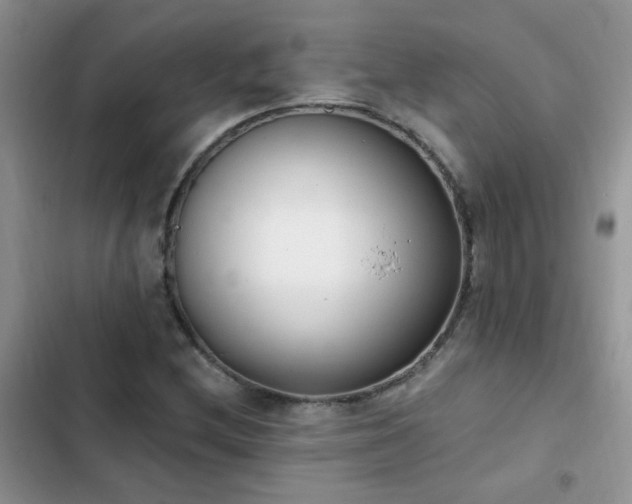 X0000103231212200808281423