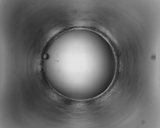 X0000103231213200808281423