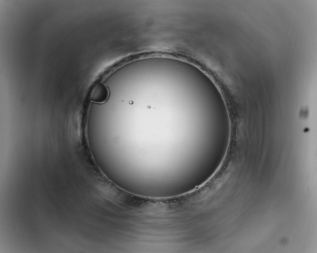 X0000103231214200808281423