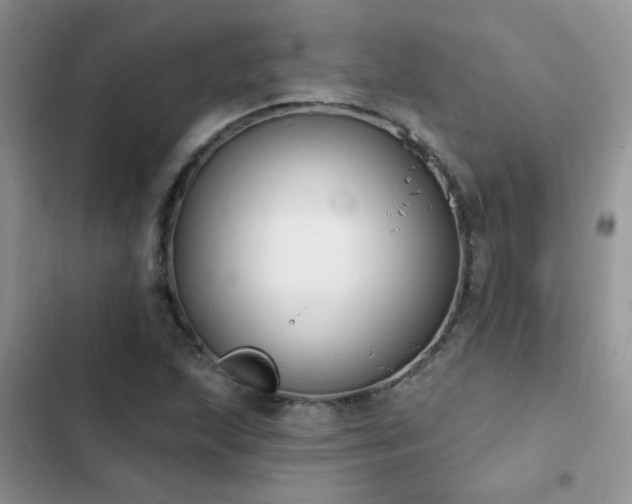 X0000103231215200808281423