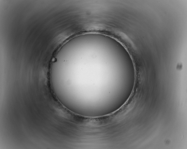 X0000103231217200808281423