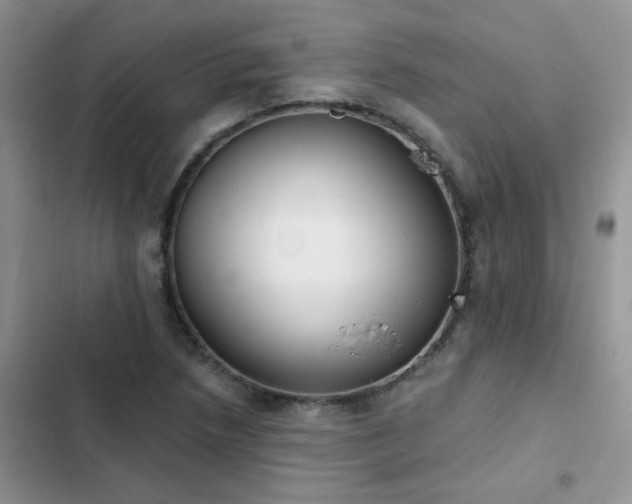 X0000103231218200808281423