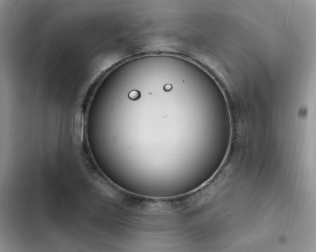 X0000103231219200808281423