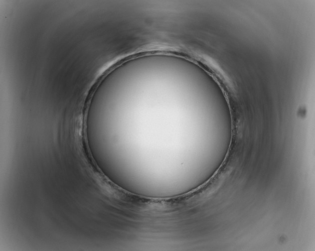 X0000103231220200808281423