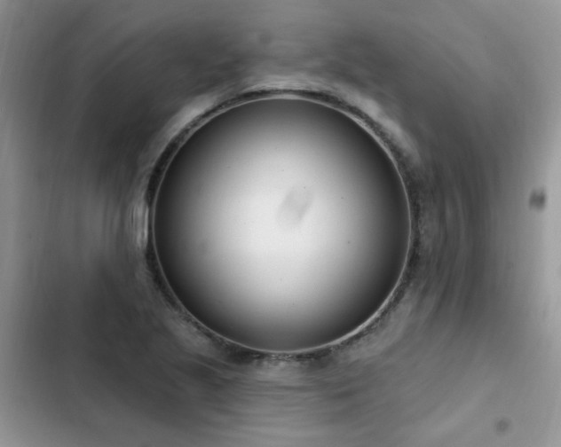 X0000103231221200808281423