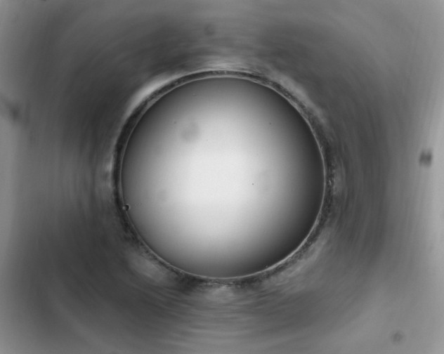 X0000103231222200808281423