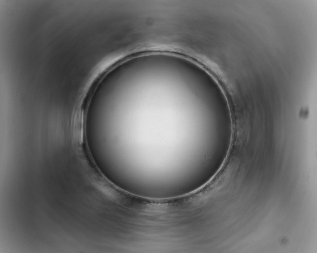 X0000103231223200808281423