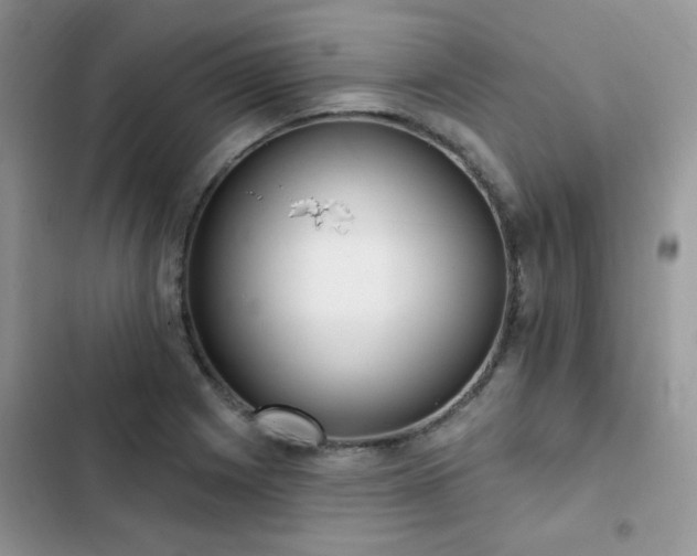 X0000103231225200808281423