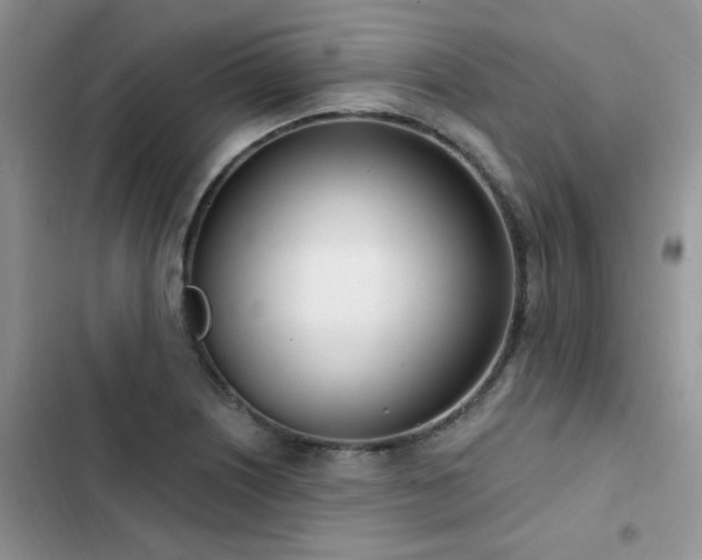 X0000103231226200808281423