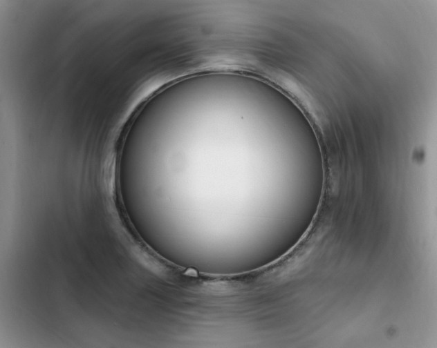 X0000103231227200808281423