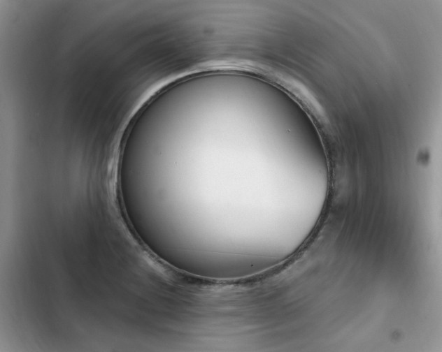 X0000103231228200808281423