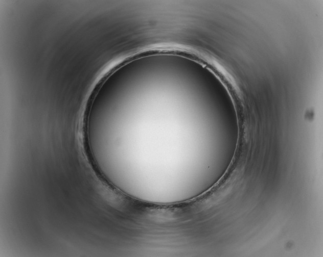 X0000103231229200808281423